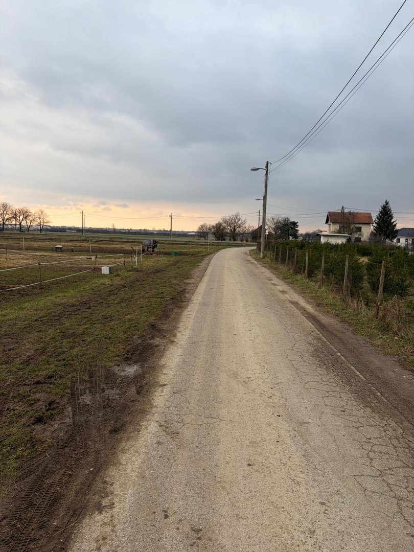 KUŠNJAČIĆ DARIO (4)