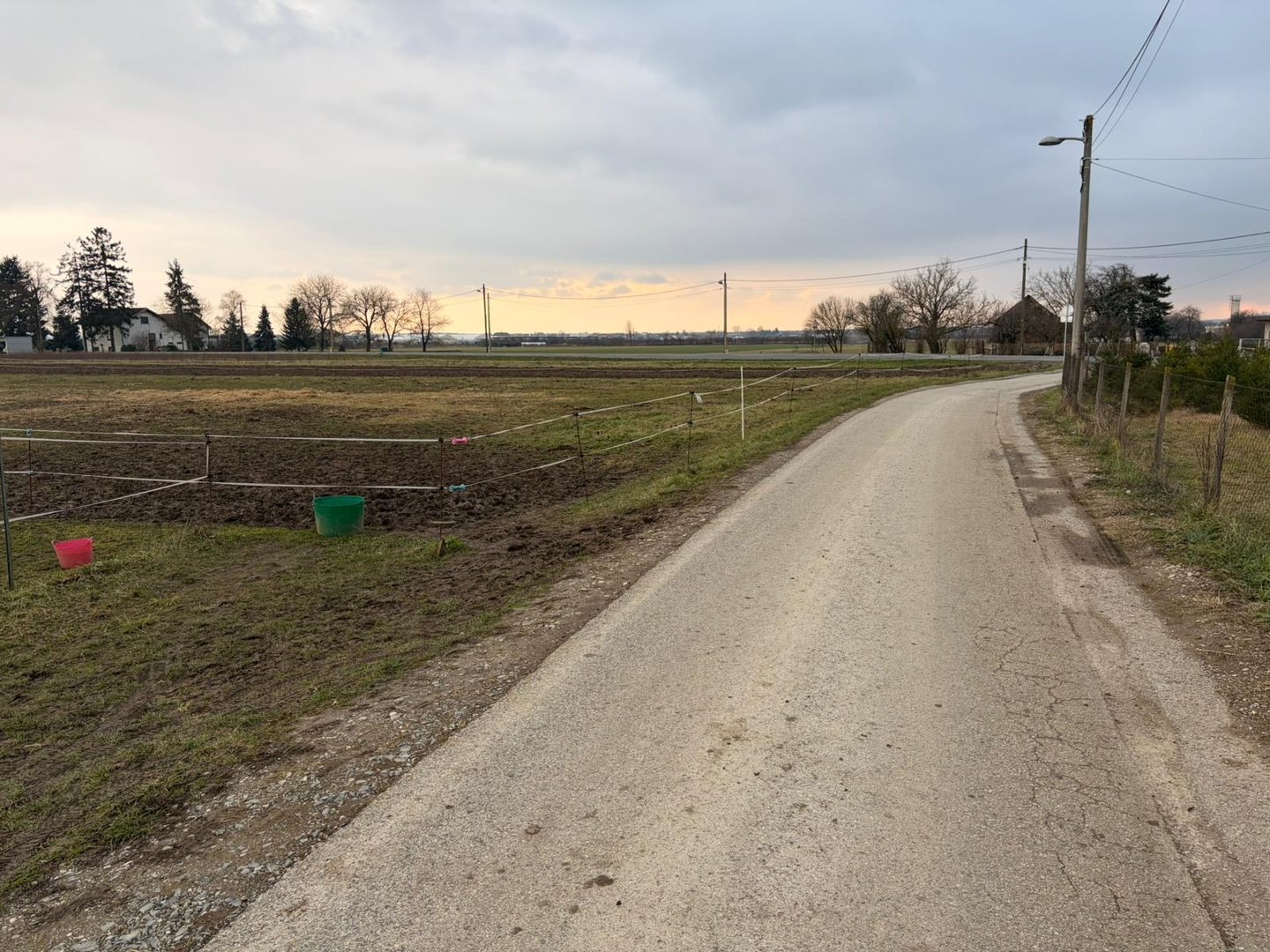 KUŠNJAČIĆ DARIO (7)